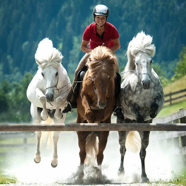 Sandra Fencl bei der Calm Horse Academy