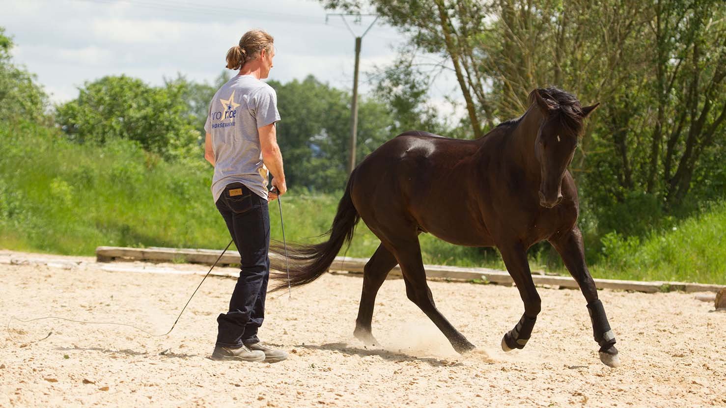 Thomas Günther beim freien Zirkeln mit seinem Pferd